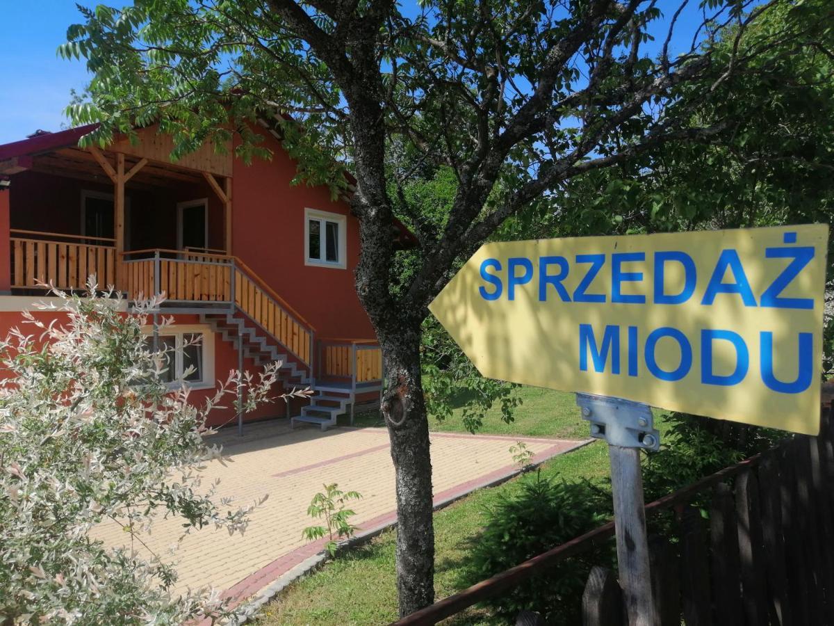 Villa Rzepedka à Rzepedz Extérieur photo
