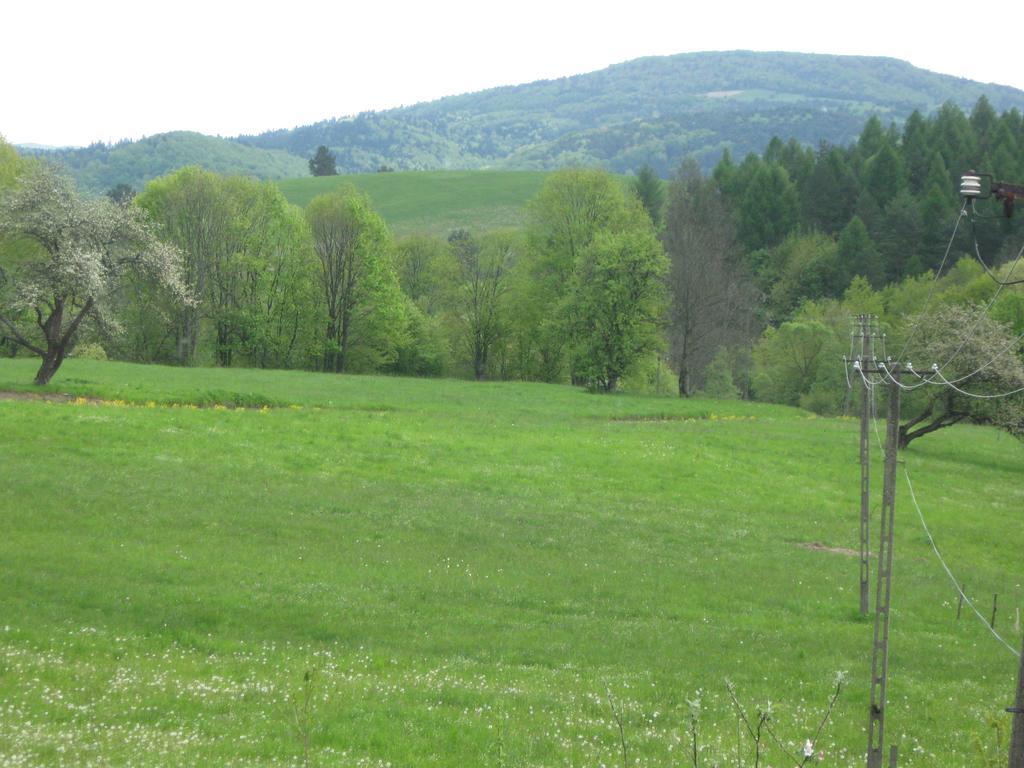 Villa Rzepedka à Rzepedz Extérieur photo