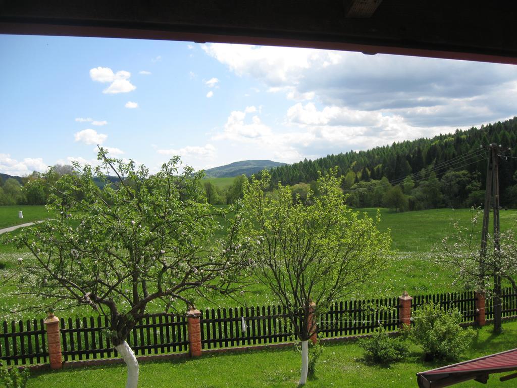 Villa Rzepedka à Rzepedz Extérieur photo